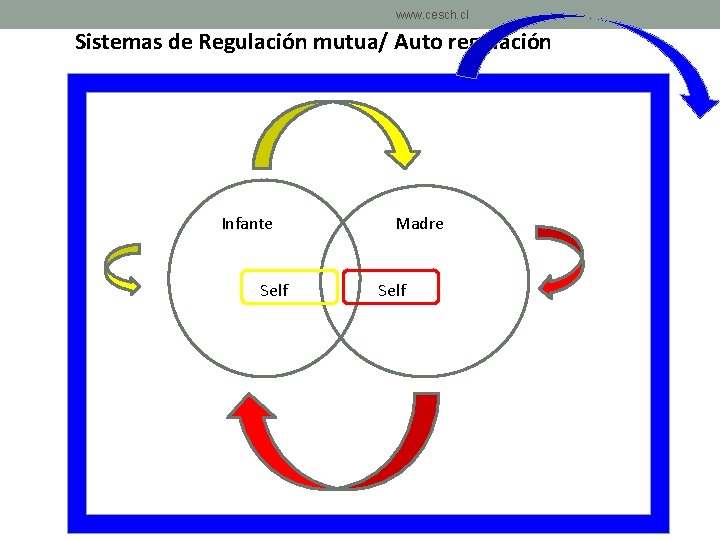 www. cesch. cl Sistemas de Regulación mutua/ Auto regulación Infante Self Madre Self www. cesch. cl Sistemas de Regulación mutua/ Auto regulación Infante Self Madre Self