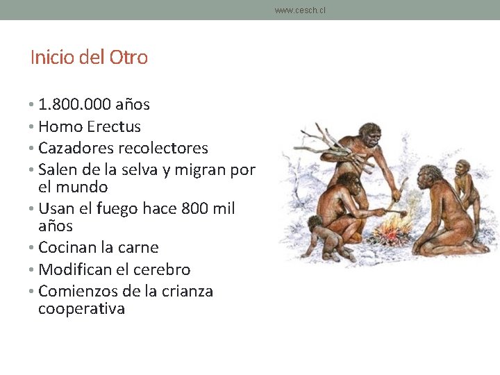 www. cesch. cl Inicio del Otro • 1. 800. 000 años • Homo Erectus www. cesch. cl Inicio del Otro • 1. 800. 000 años • Homo Erectus