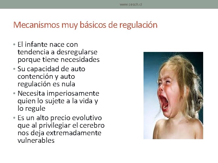www. cesch. cl Mecanismos muy básicos de regulación • El infante nace con tendencia www. cesch. cl Mecanismos muy básicos de regulación • El infante nace con tendencia