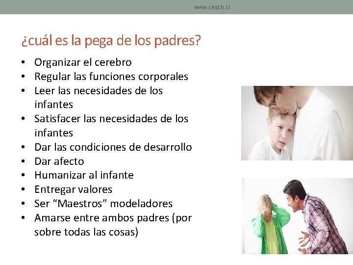 www. cesch. cl ¿cuál es la pega de los padres? • Organizar el cerebro www. cesch. cl ¿cuál es la pega de los padres? • Organizar el cerebro