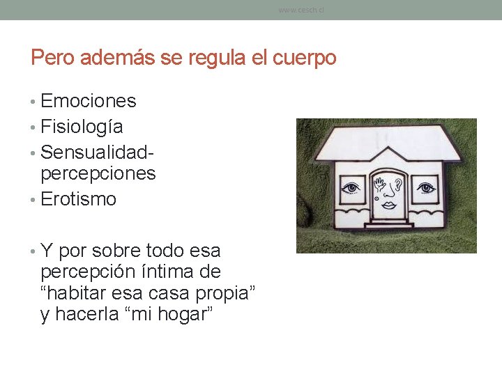 www. cesch. cl Pero además se regula el cuerpo • Emociones • Fisiología • www. cesch. cl Pero además se regula el cuerpo • Emociones • Fisiología •