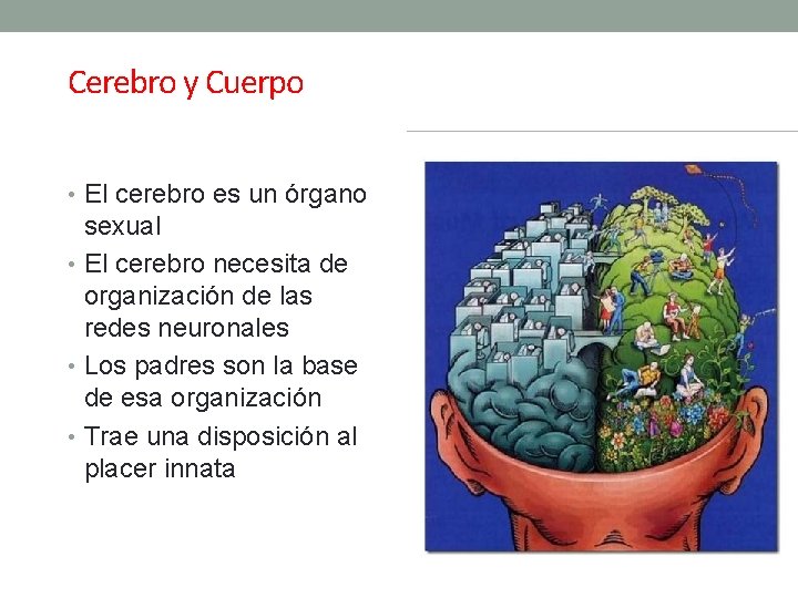 Cerebro y Cuerpo • El cerebro es un órgano sexual • El cerebro necesita Cerebro y Cuerpo • El cerebro es un órgano sexual • El cerebro necesita