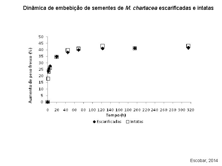 Dinâmica de embebição de sementes de M. chartacea escarificadas e intatas Escobar, 2014 