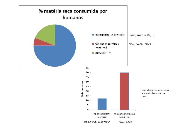 (trigo, arroz, milho, . . . ) (soja, ervilha, feijão. . . ) (prolaminas,