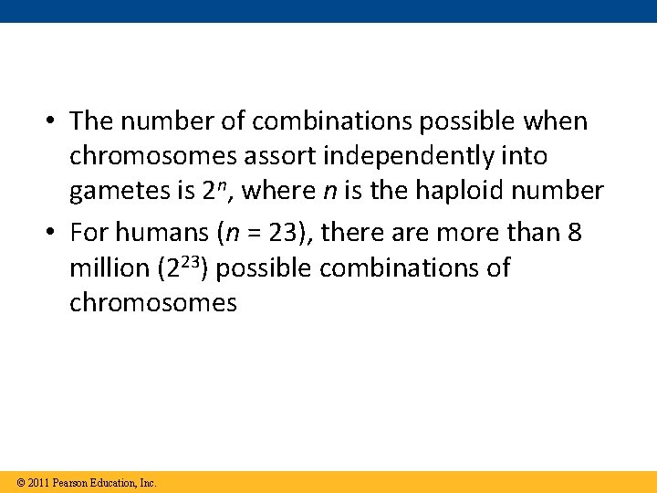  • The number of combinations possible when chromosomes assort independently into gametes is