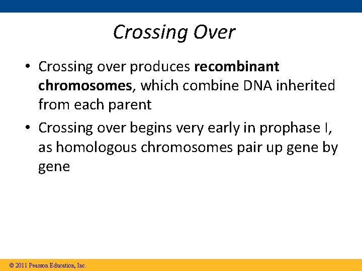 Crossing Over • Crossing over produces recombinant chromosomes, which combine DNA inherited from each