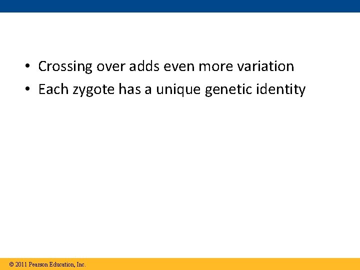  • Crossing over adds even more variation • Each zygote has a unique