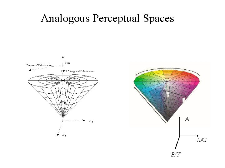 Analogous Perceptual Spaces A R/G B/Y 