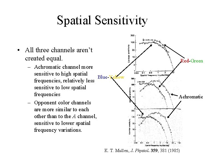 Spatial Sensitivity • All three channels aren’t created equal. Red-Green – Achromatic channel more
