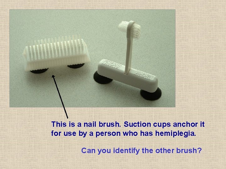 This is a nail brush. Suction cups anchor it for use by a person This is a nail brush. Suction cups anchor it for use by a person