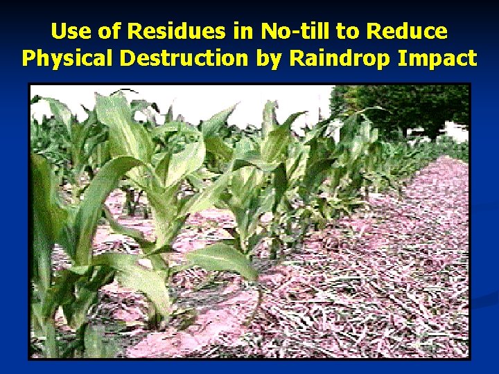 Use of Residues in No-till to Reduce Physical Destruction by Raindrop Impact 