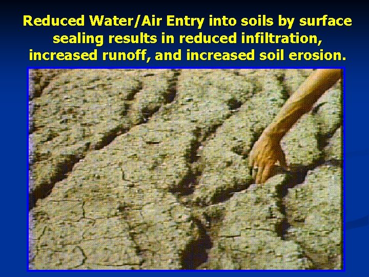 Reduced Water/Air Entry into soils by surface sealing results in reduced infiltration, increased runoff,