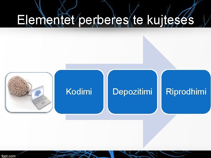 Elementet perberes te kujteses Kodimi Depozitimi Riprodhimi 