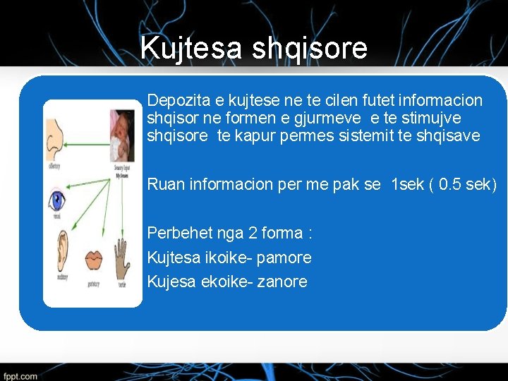 Kujtesa shqisore Depozita e kujtese ne te cilen futet informacion shqisor ne formen e