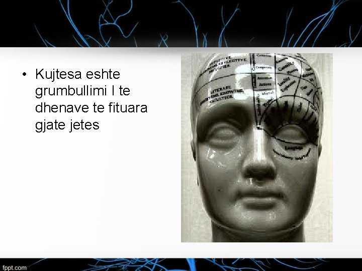  • Kujtesa eshte grumbullimi I te dhenave te fituara gjate jetes 