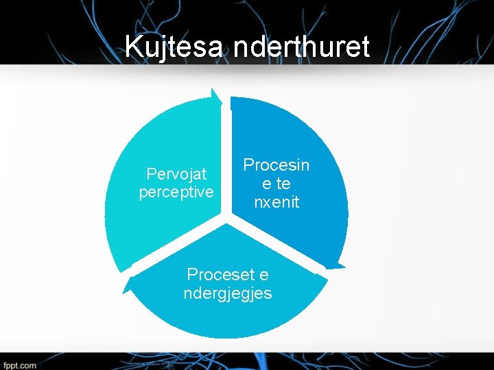 Kujtesa nderthuret Pervojat perceptive Procesin e te nxenit Proceset e ndergjegjes 