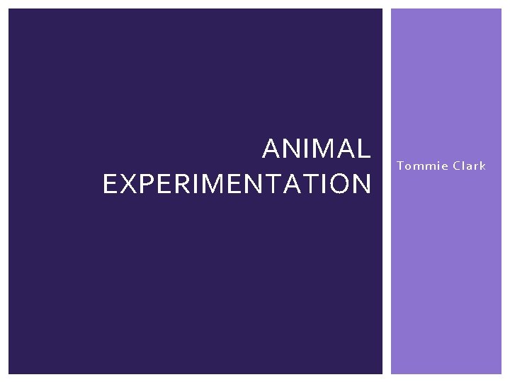 ANIMAL EXPERIMENTATION Tommie Clark 