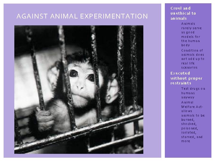 AGAINST ANIMAL EXPERIMENTATION Cruel and unethical to animals Animals rarely serve as good models