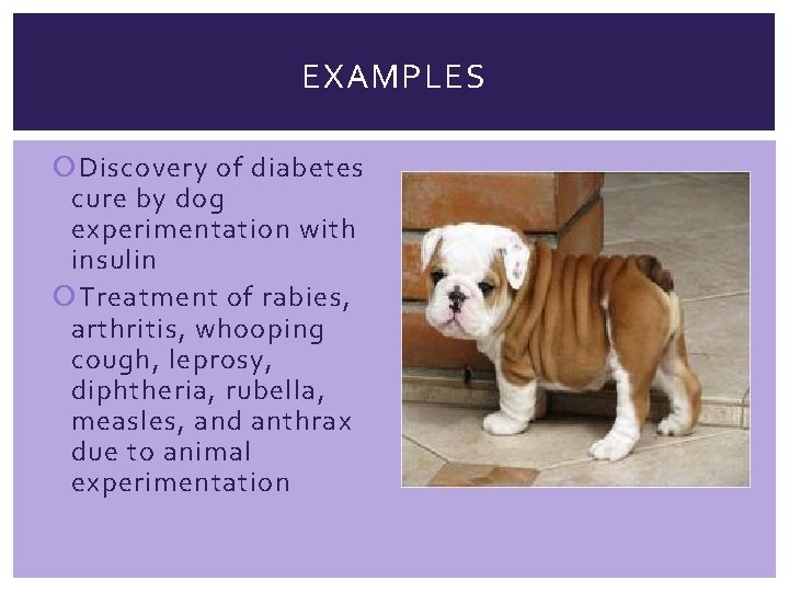 EXAMPLES Discovery of diabetes cure by dog experimentation with insulin Treatment of rabies, arthritis,