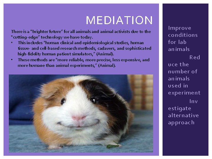 MEDIATION There is a “brighter future” for all animals and animal activists due to