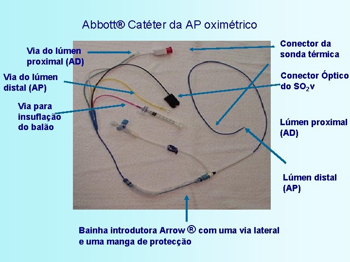 Abbott® Catéter da AP oximétrico Via do lúmen proximal (AD) Conector da sonda térmica