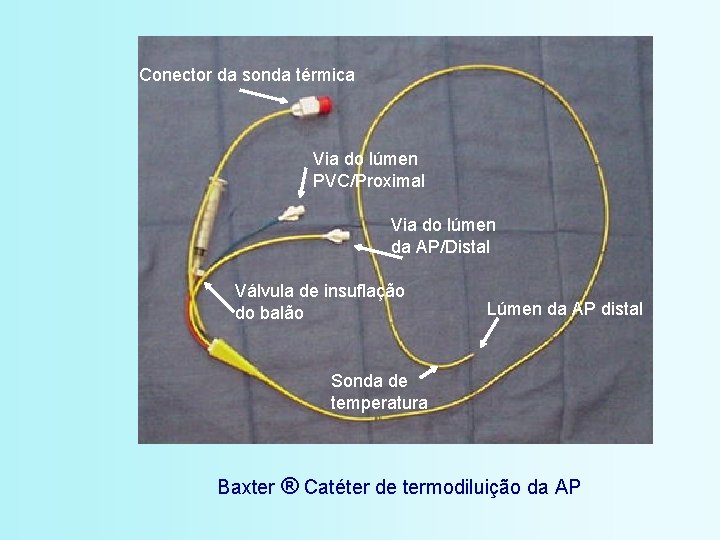 Conector da sonda térmica Via do lúmen PVC/Proximal Via do lúmen da AP/Distal Válvula