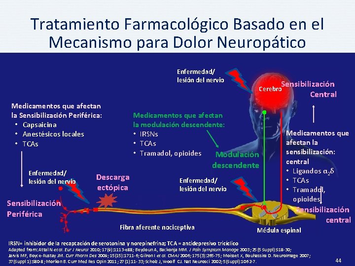 Tratamiento Farmacológico Basado en el Mecanismo para Dolor Neuropático Enfermedad/ lesión del nervio Sensibilización