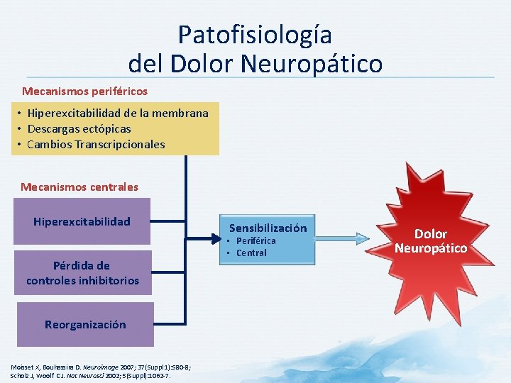 Patofisiología del Dolor Neuropático Mecanismos periféricos • Hiperexcitabilidad de la membrana • Descargas ectópicas