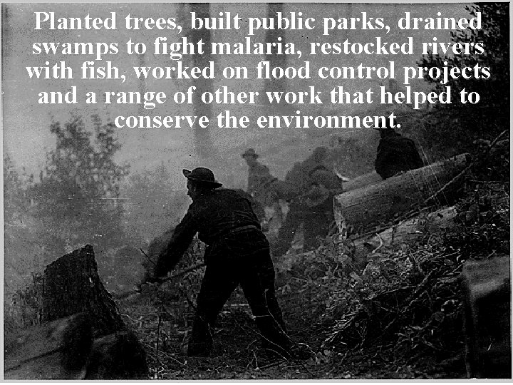 Planted trees, built public parks, drained swamps to fight malaria, restocked rivers with fish,