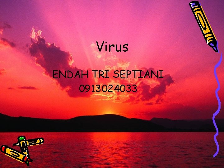 Virus ENDAH TRI SEPTIANI 0913024033 