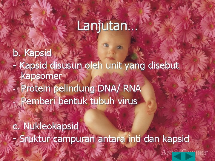 Lanjutan… b. Kapsid - Kapsid disusun oleh unit yang disebut kapsomer - Protein pelindung