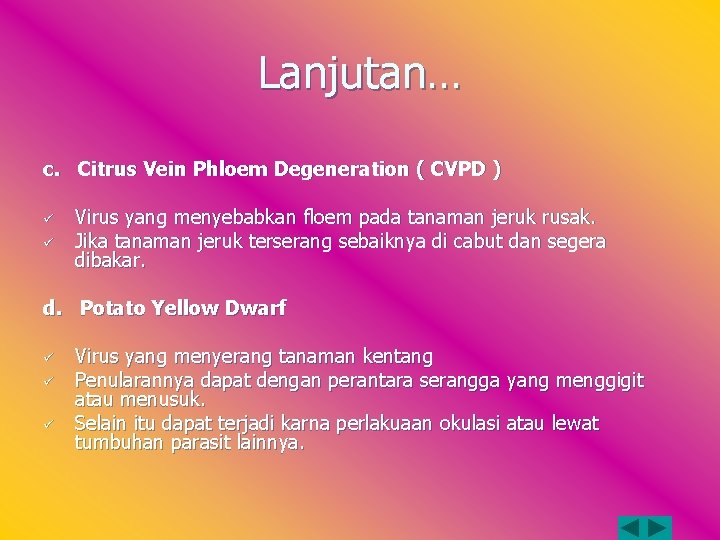 Lanjutan… c. Citrus Vein Phloem Degeneration ( CVPD ) ü ü Virus yang menyebabkan