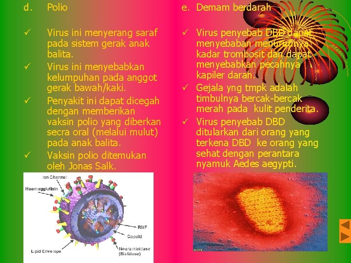 d. Polio e. Demam berdarah ü Virus ini menyerang saraf pada sistem gerak anak