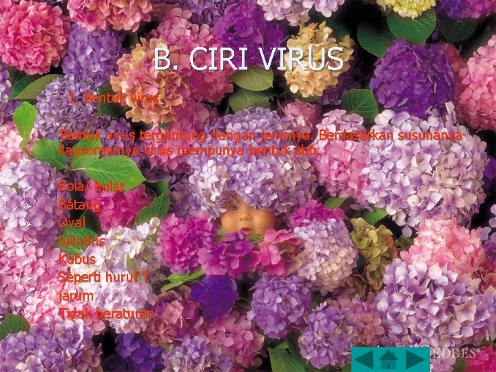 B. CIRI VIRUS 1. Bentuk virus tergantung dengan jenisnya. Berdasarkan susunanya kapsomernya virus mempunya