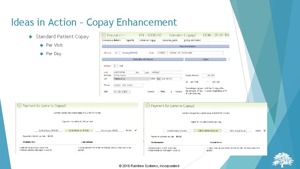 Ideas in Action – Copay Enhancement Standard Patient Copay Per Visit Per Day © Ideas in Action – Copay Enhancement Standard Patient Copay Per Visit Per Day ©