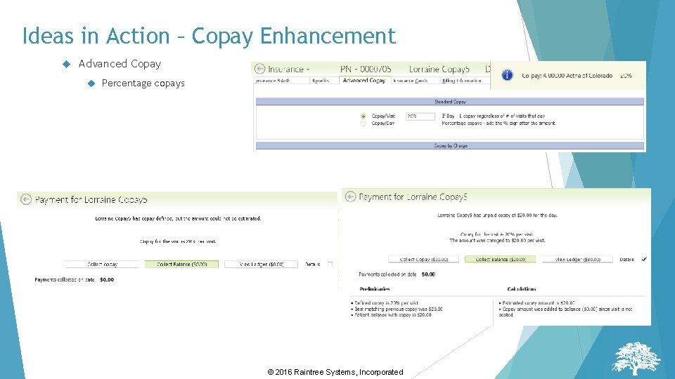 Ideas in Action – Copay Enhancement Advanced Copay Percentage copays © 2016 Raintree Systems, Ideas in Action – Copay Enhancement Advanced Copay Percentage copays © 2016 Raintree Systems,