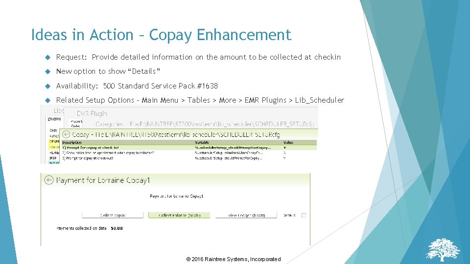 Ideas in Action – Copay Enhancement Request: Provide detailed information on the amount to Ideas in Action – Copay Enhancement Request: Provide detailed information on the amount to