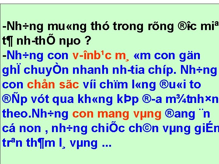  Nh÷ng mu «ng thó trong rõng ® îc miªu t¶ nh thÕ nµo