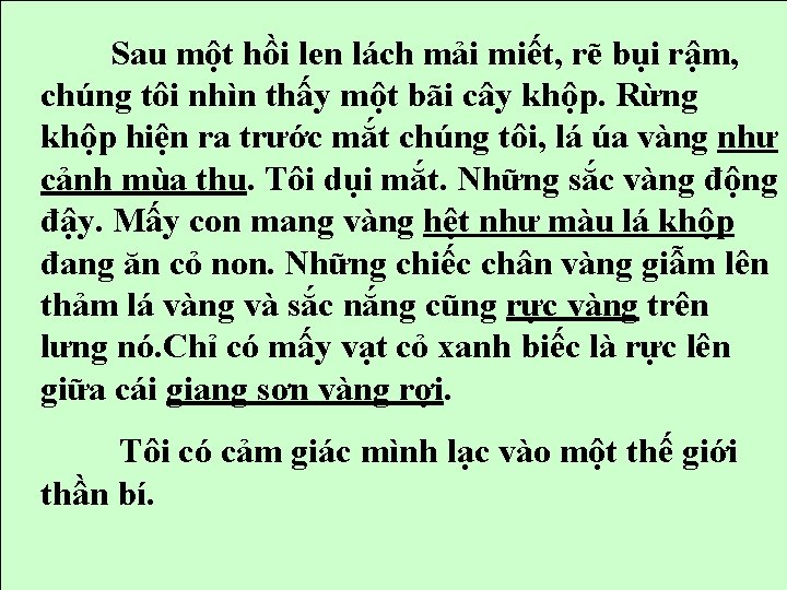 Sau một hồi len lách mải miết, rẽ bụi rậm, chúng tôi nhìn thấy