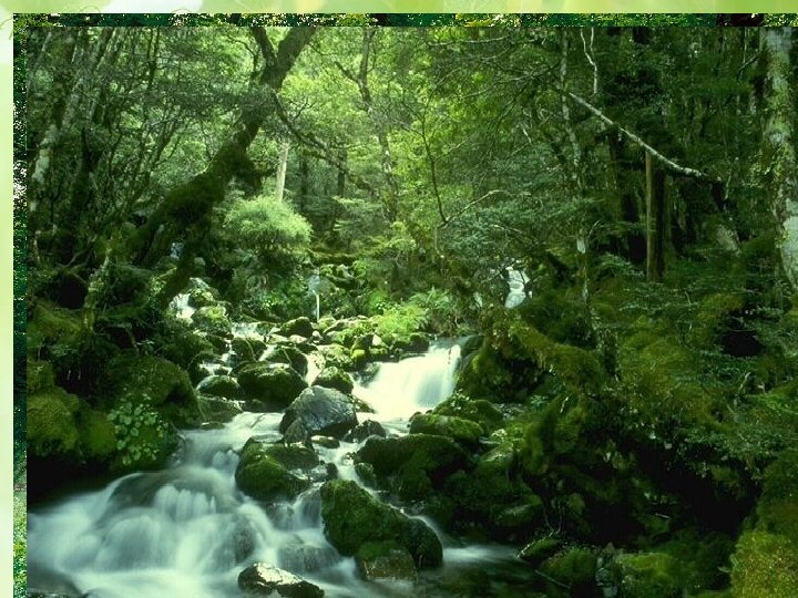 Thứ hai ngày 10 tháng 10 năm 2011 Tập đọc 