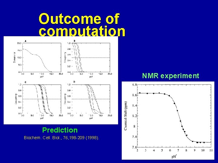 Outcome of computation NMR experiment Prediction Biochem. Cell. Biol. , 76, 198 -209 (1998).