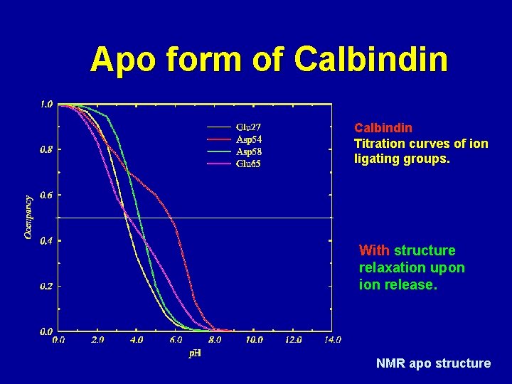 Apo form of Calbindin Titration curves of ion ligating groups. With structure relaxation upon