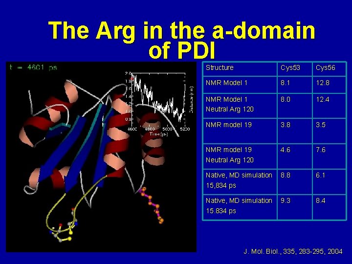 The Arg in the a-domain of PDI Structure Cys 53 Cys 56 NMR Model