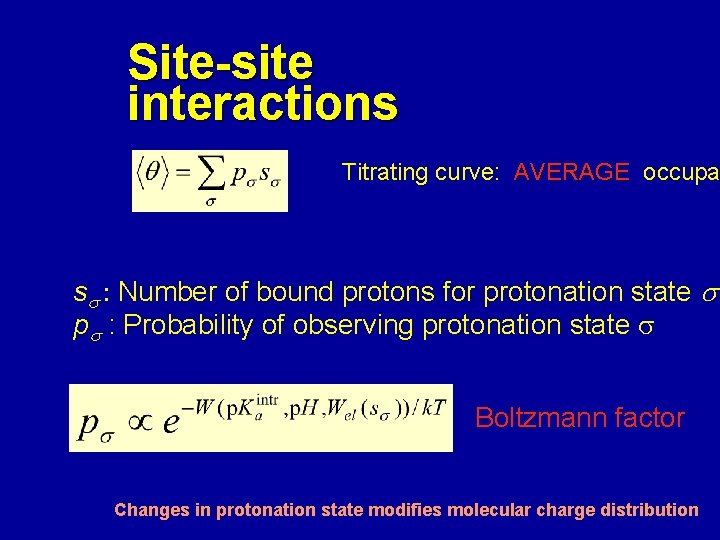 Site-site interactions Titrating curve: AVERAGE occupa ss : Number of bound protons for protonation