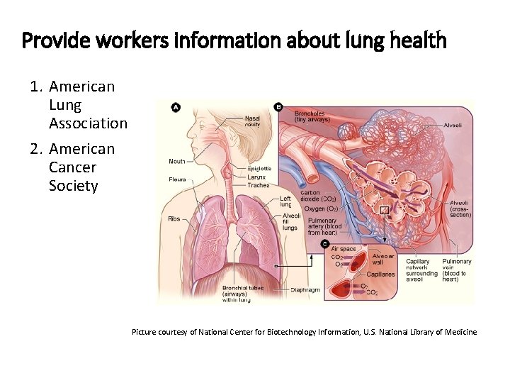 Provide workers information about lung health 1. American Lung Association 2. American Cancer Society