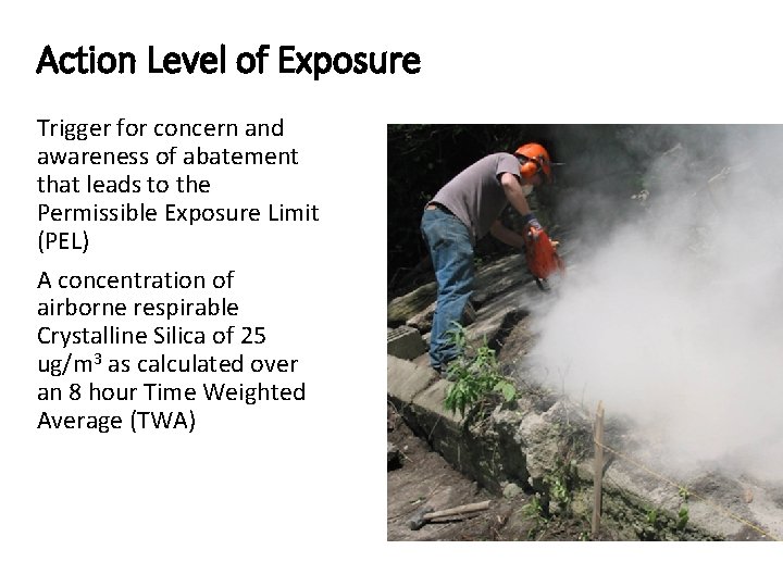 Action Level of Exposure Trigger for concern and awareness of abatement that leads to