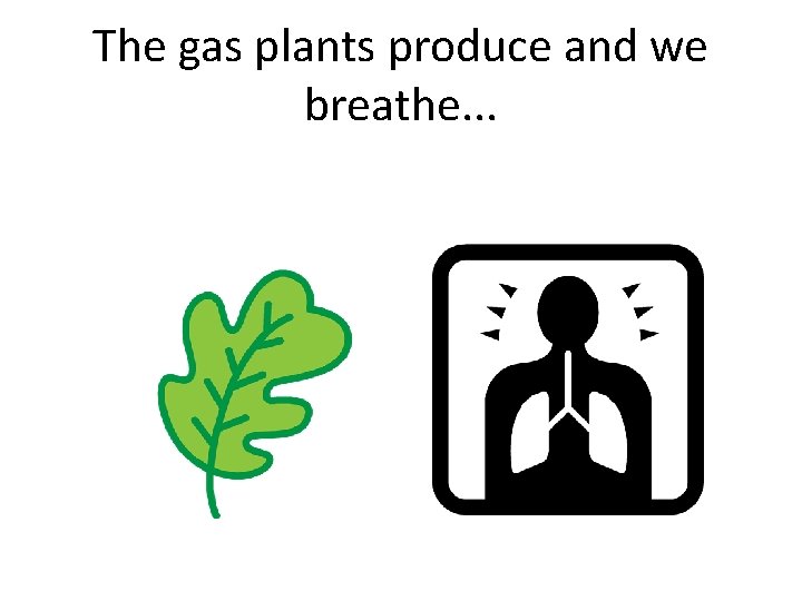 The gas plants produce and we breathe. . . 