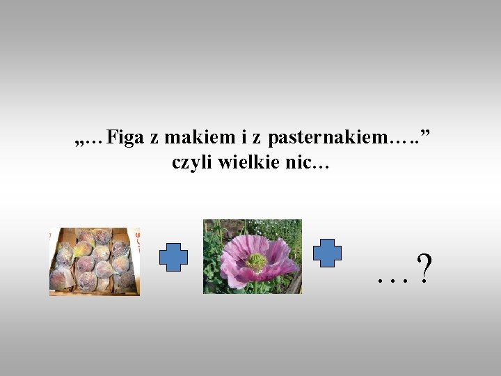 „…Figa z makiem i z pasternakiem…. . ” czyli wielkie nic… …? 