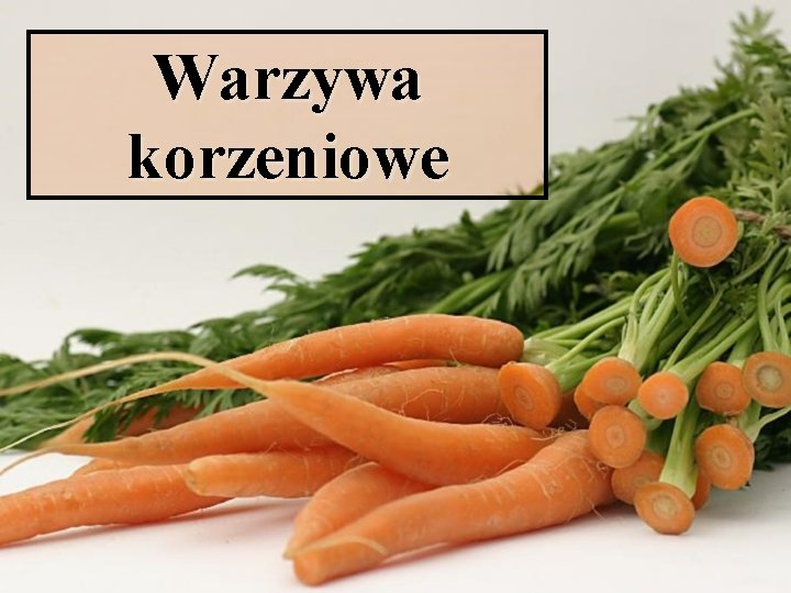 Warzywa korzeniowe 