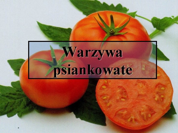 Warzywa psiankowate 